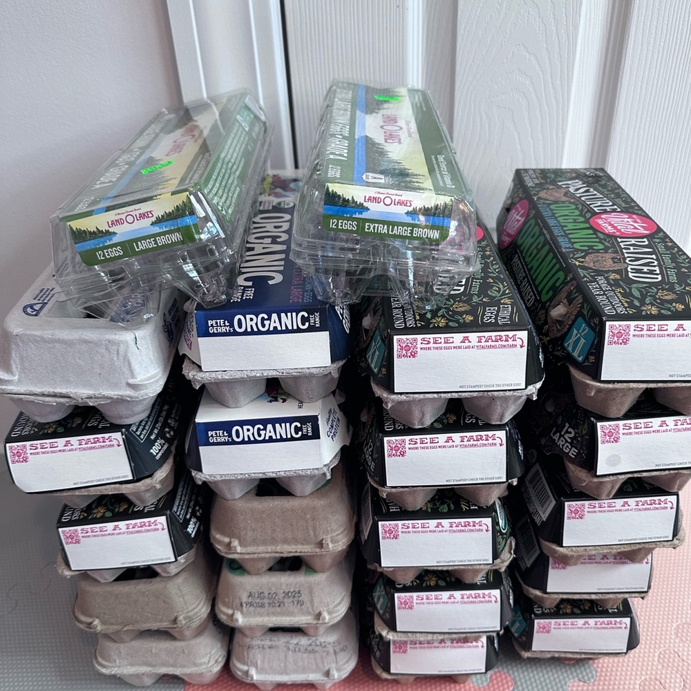 Lot of 22 egg cartons empty pulp paper or plastic containers eggs